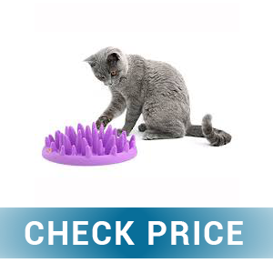 TOPNICES 2020 Upgrade Slow Feeder Cat Bowls