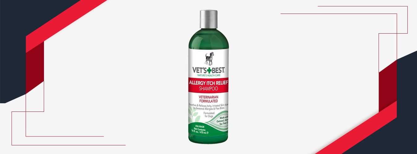 Best Dog Shampoo for Itching Skin