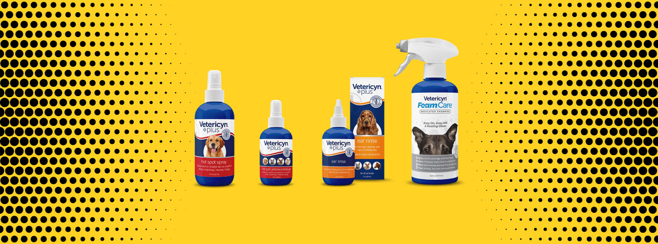 What Dog Shampoo Is Best For Yeast Infection
